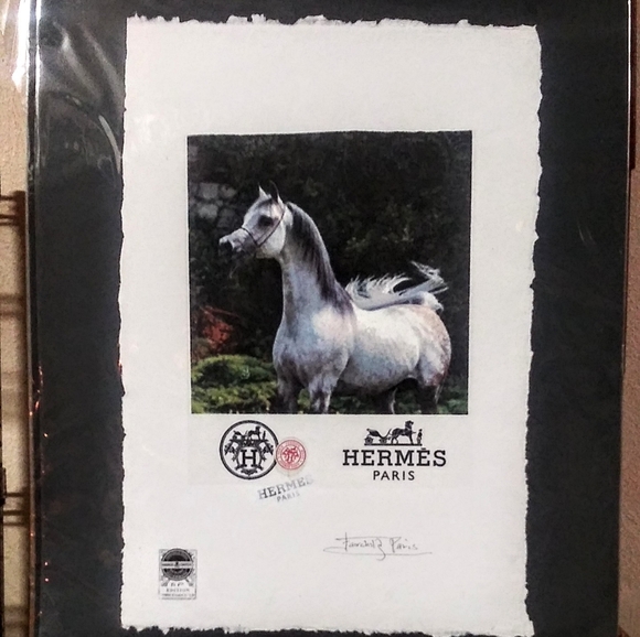 HERMÉS, Arabian Stallion Print, By Fairchild Paris - Picture 10 of 12